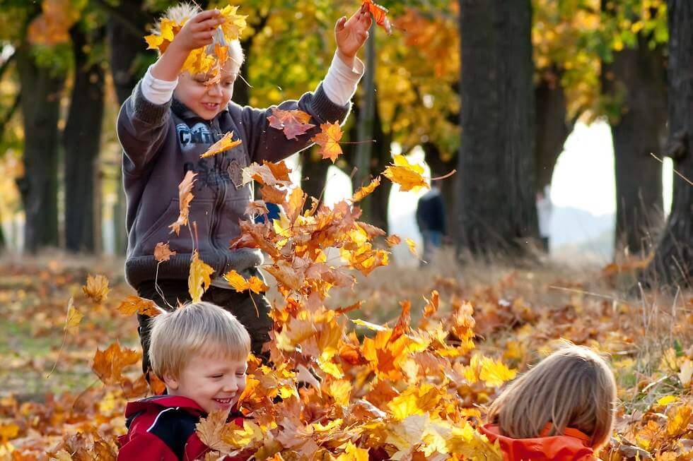 Kinderreisen Baumhauscamp in den Herbstferien