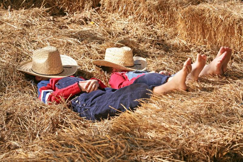 Kinderreisen Feriencamp im Heu auf dem Bauernhof Kinderreisen Feriencamp im Heu auf dem Bauernhof