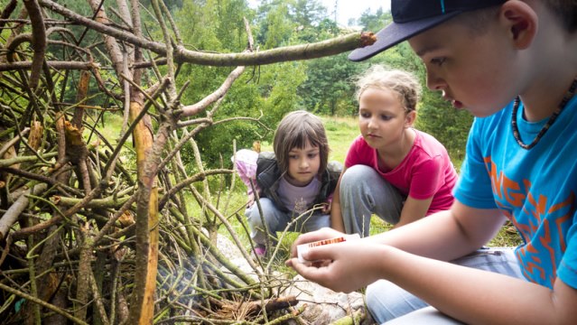 Kinderfreizeiten
