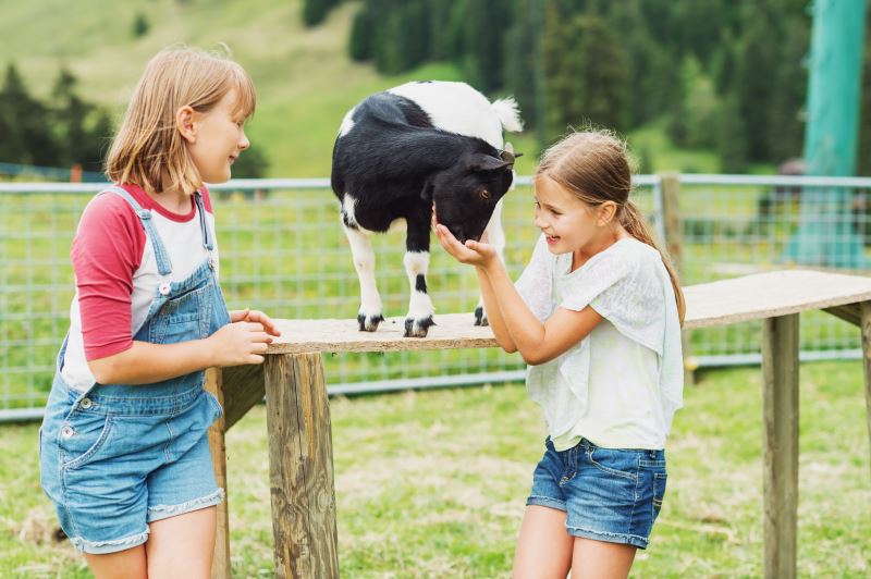 ferienfreizeit-ab-6-jahren-bauernhof ferienfreizeit-ab-6-jahren-bauernhof