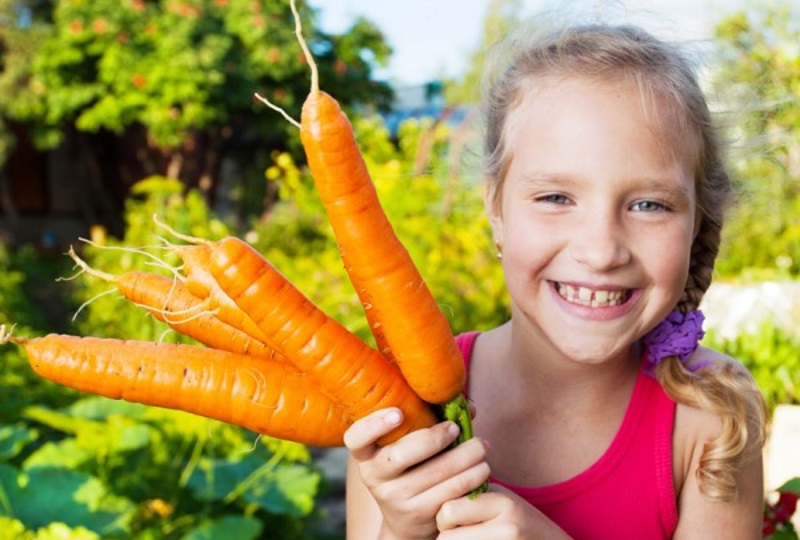 kinderfreizeit-ab-6-jahren-sommer