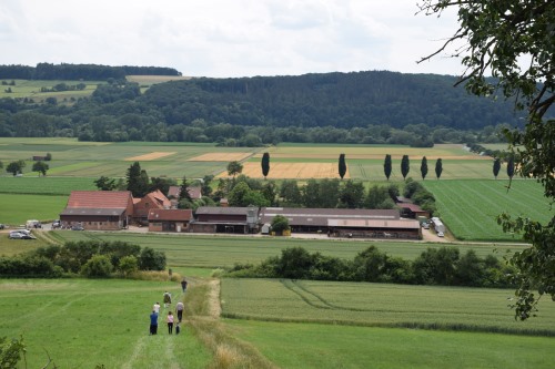 ferien-auf-dem-reiterhof-sommer