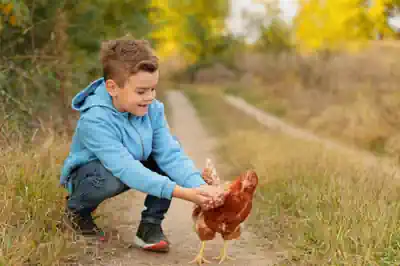 feriencamp-bei-berlin-bauernhof-gussow
