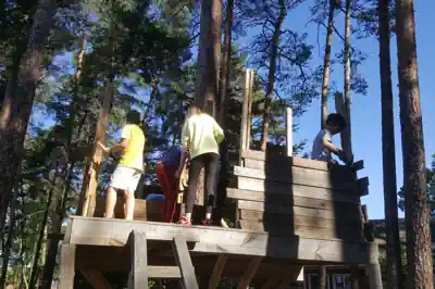 baumhaus-bauen-sommer