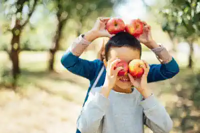 feriencamp-bei-berlin-bauernhof