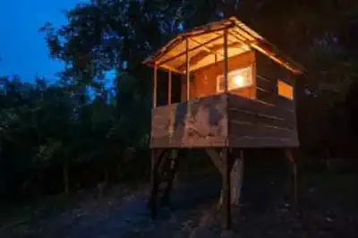 sommercamp-baumhaus-in-den-sommerferien