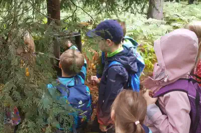 kinderferienlager-reisemeise-mit-survival