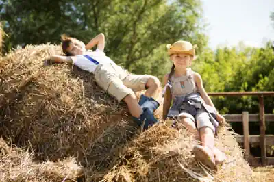kinderferienlager-mit-reisemeise