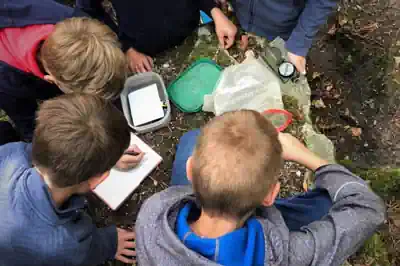 kinderfreizeit-sommerferien-sachsen