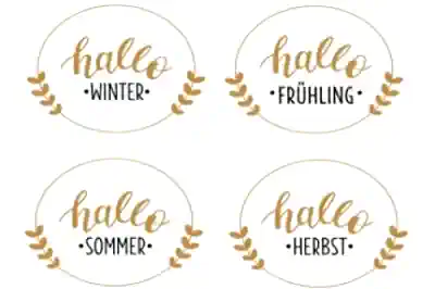 sprachcamp-programm sprachcamp-programm-mit-reisemeise