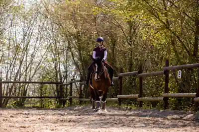 ferienlager-feriencamp-baden-wuerttemberg