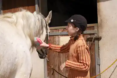 ferienlager-feriencamp-baden-wuerttemberg