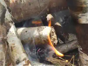 ein-lagerfeuer-mit-birkenholz-im-ostercamp