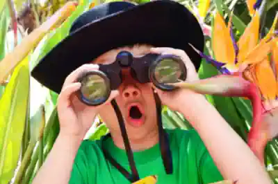 ferienfreizeit-ostern ein-junge-schaut-durch-ein-fernglas-zur-ferienfreizeit-ostern