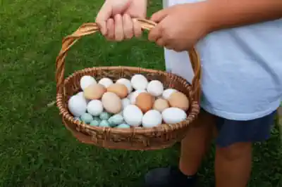 osterfreizeit-bauernhof