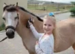 ein-maedchen-striegelt-mit-freude-ein-pferd