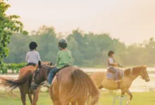 bauernhof-ostern drei Kinder reiten im Osterferienlager in Gussow.