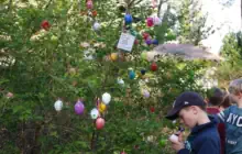 berlin-osterausflug ein Osterbaum mit Wünschen und vielen bunten Ostereiern.