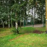 Das grüne Dünenhinterland lädt ein zu Abenteuer und Freizeit.