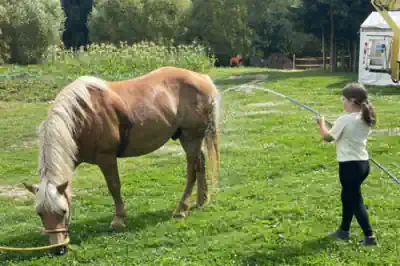 reiterferien-mv ein Mädchen bespritz ein Pferd mit kühlendem Wasser in den Reisterferien MV