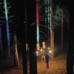 zaubercamp-thueringen der Wald wird ausgeleuchtet von den Zauberlehrlingen