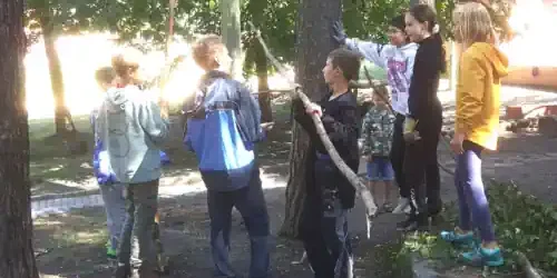 ein paar Kinder wollen einen Unterschlupf aus Haolz bauen