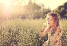 herbst-kinder ein Mädchen auf einer Herbstwiese mit Pusteblumen