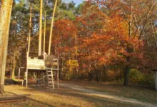 herbstferien-kinderprogramm ein Baumhaus im bunten strahlendem Herbstwald